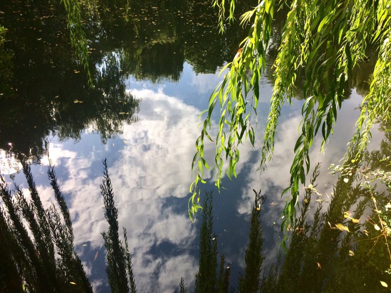 Die Sehnsucht ist schon Licht