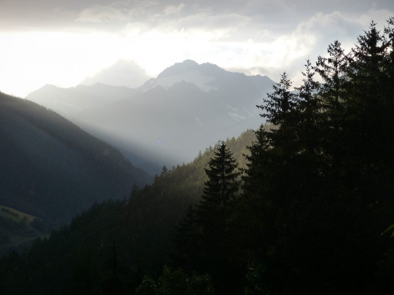 Schönheit und Heilung